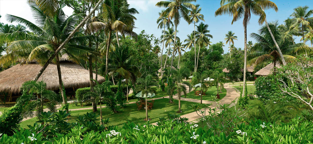 Carnoustie Ayurveda & Wellness Resort hotel in Kerala