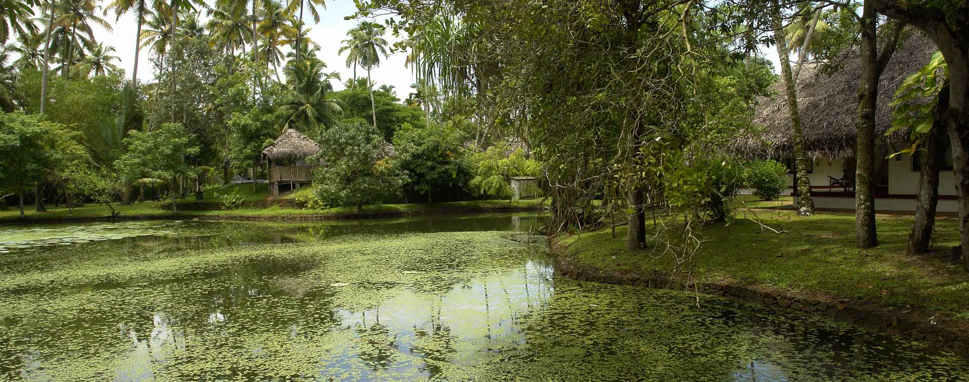 Marari Beach Resort - CGH Earth hotel in Kerala