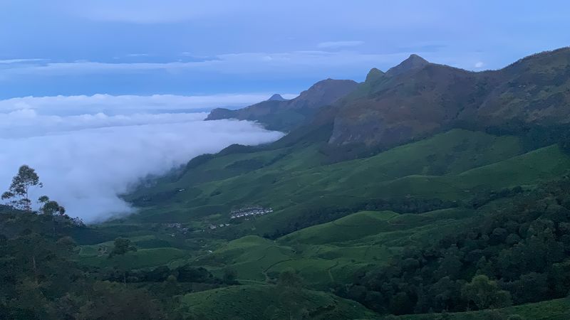 Munnar - TEA GARDENS destination in Kerala