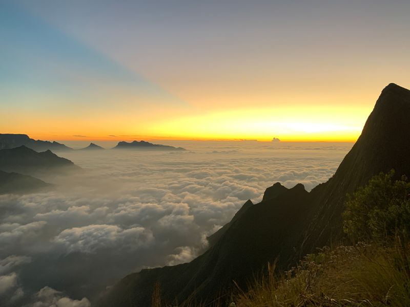 Wildlife & Trails tour package Kerala